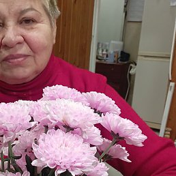 �������, �����-���������, 65 ���