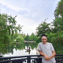 , 33, 