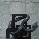 ���� ����, ��������, 54 ���� - ��������� 7 ������ 2025 � ������ ���� ����������