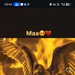 Md Sohel, �����������, 20 ���