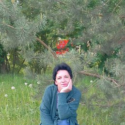 �����, 39 ���, �����