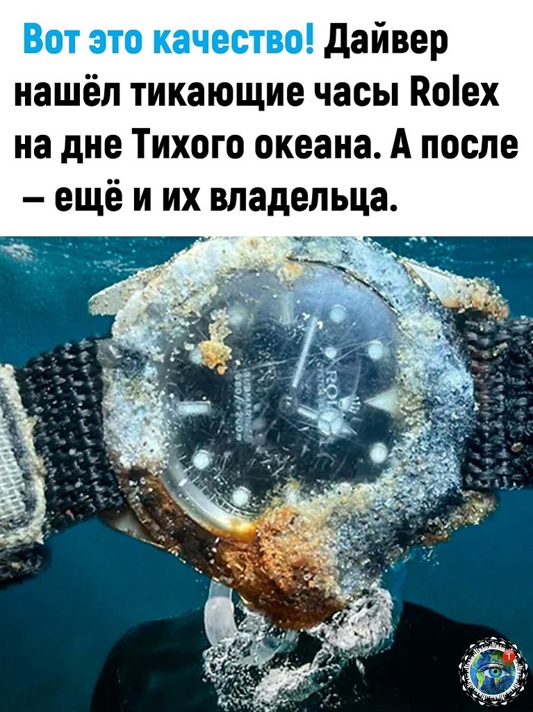  |  |   5 - 12  2024  06:37
