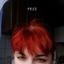 �����, ���������, 56 ���