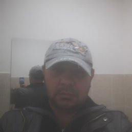 �����, �������, 47 ���