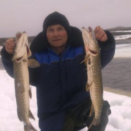 ���� ������, �����, 62 ���� - ��������� 6 ������� 2025