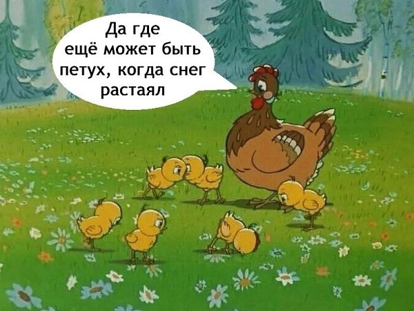 Ну давайте, закидывайте тряпками, петухи. Скоро ваш любимый сезон, где вы по ночам не даёте спать ... - 2