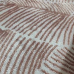 �����, �������, 25 ���