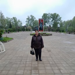 , 44, 