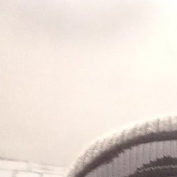 ������, ������, 54 ����