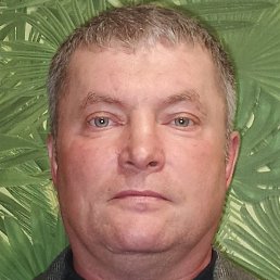 ������, �������, 49 ���