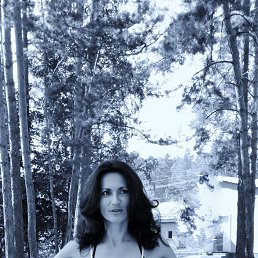 , 53, 