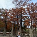 ���� �����, ��������� - ��������� 3 ���� 2025