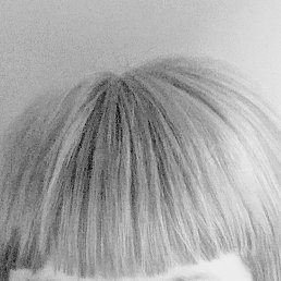 ������ ����, 36 ���, ������