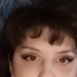 ���� ������, ����, 48 ��� - ��������� 4 ������� 2026