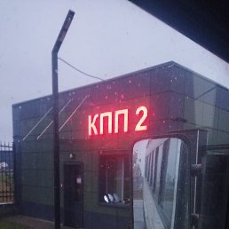 ��, ������, 37 ���