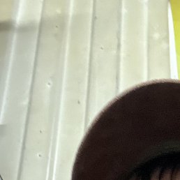 �������, ����, 42 ����