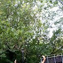 ���� �������, ���������, 65 ��� - ��������� 21 ������� 2025 � ������ ���� ����������