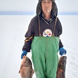 , 52, 