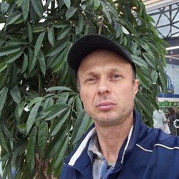 ���� ����, ������������, 51 ��� - ��������� 11 ������ 2025