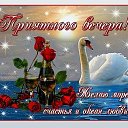 ���� �����, ����������, 66 ��� - ��������� 3 ������� 2025 � ������ ������ ��������