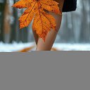 ���� �lle, ���������� - ��������� 18 ������� 2025 � ������ ���� ����������