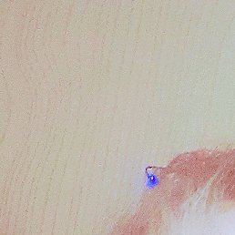 ������, ���������, 59 ���