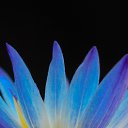 ���� �������, ������� ���� - ��������� 28 ������� 2024 � ������ ������ ��������