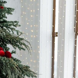 �����, ������, 50 ���