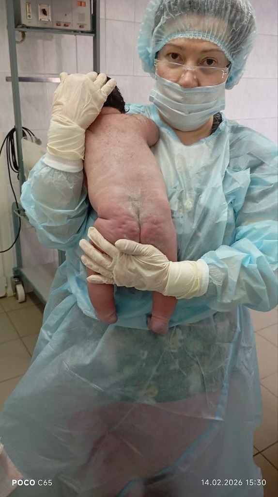 ������� �� ������ �������������� ������ ����������������� ���������� ���� �������� ���������� ... - 3