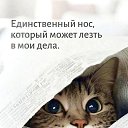 ���� ����, ��������� - ��������� 1 ���� 2026 � ������ ������ ��������