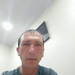 , 36, 