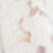 ��������, 61 ���, ����