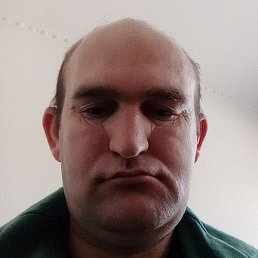 �����, �������, 41 ���