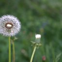 ���� �����, ������, 66 ��� - ��������� 19 ������� 2026 � ������ ������ ��������