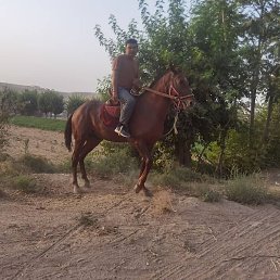 �����, �����-���������, 29 ���