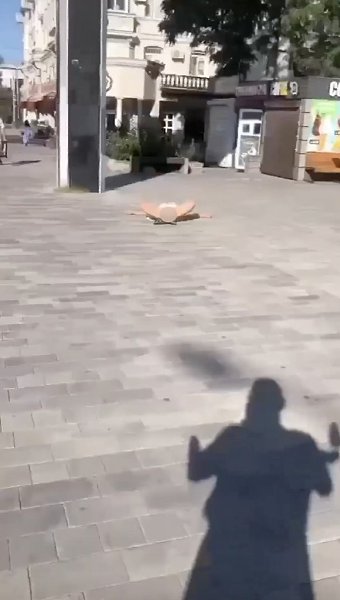 В Ростове девушка сняла трусы и улеглась на асфальте, полностью раздвинув ноги — шокированный парень ...