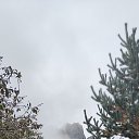 ���� ������, ������, 53 ���� - ��������� 25 ������� 2023 � ������ ���� ����������