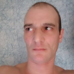 �����, �����-���������, 41 ���