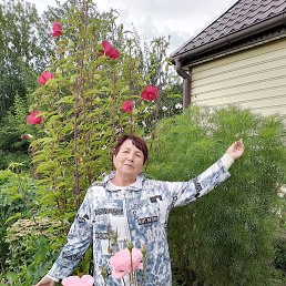 ���� �������, ������, 60 ��� - ��������� 7 ������ 2026