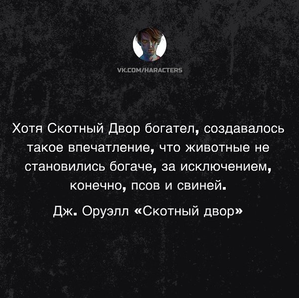 �������� - 29 ���� 2025 � 21:56