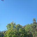 ���� ���������, ����� - ��������� 5 ������� 2025 � ������ ��������������� ������ ���������Ȼ