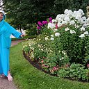  ,  -  5  2025       ,    ,     .