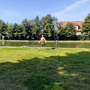 ���� ����, �����������, 61 ��� - ��������� 1 ���� 2024