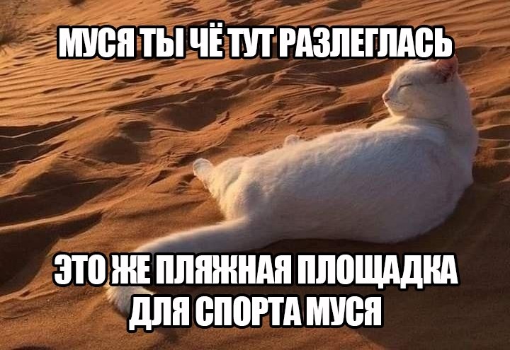 ������ ������ ������� �������� ��� ������� ������� � ������? ���������� � ����������! � ������ ... - 3
