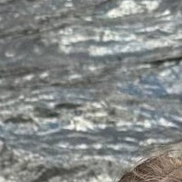 ����, ������, 39 ���