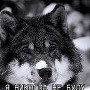   ,  , 62  -  22  2025    