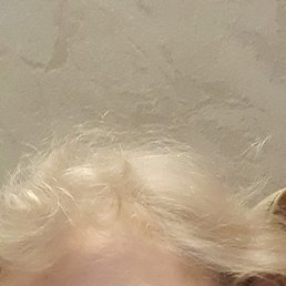 ���� �����, �������, 61 ��� - ��������� 1 ������� 2025