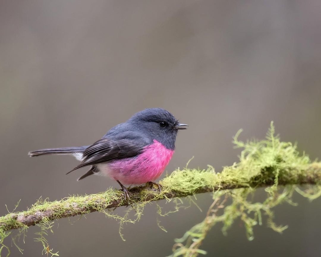 a pa a - e coae oooa! o - aoopa epoa.ao p opac e ... - 5