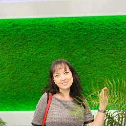 ���� �����, ������, 43 ���� - ��������� 9 ����� 2025