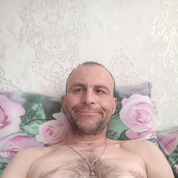 ������, 66 ���, ���������